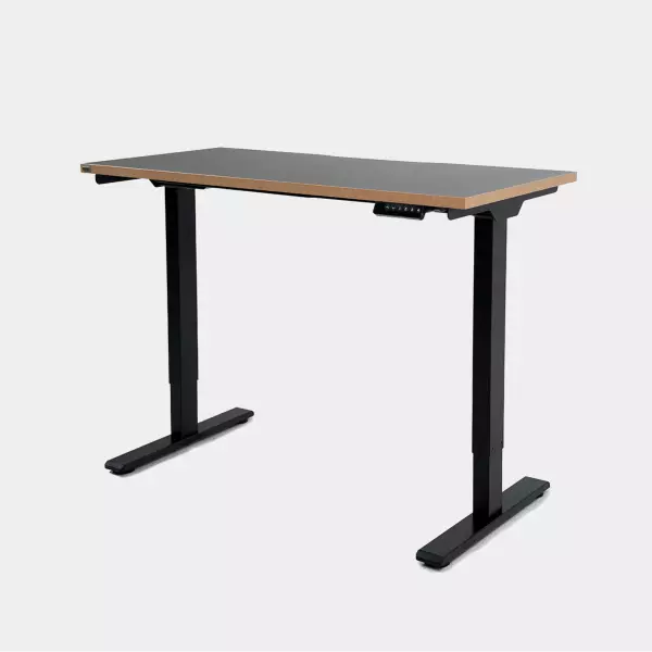 Epione SmartDesk Lite 2.0 Standing Desk