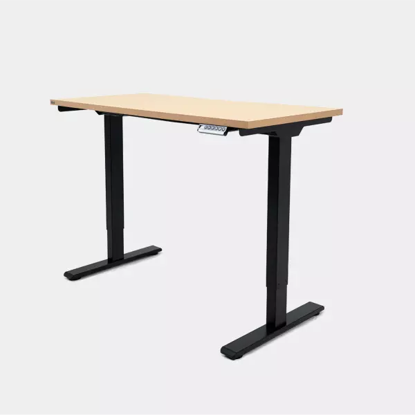 Epione SmartDesk Lite 2.0 Standing Desk
