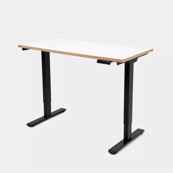 Epione SmartDesk Lite 2.0 Standing Desk