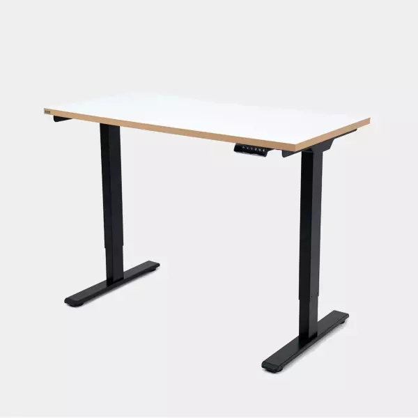 Epione SmartDesk Lite 2.0 Standing Desk
