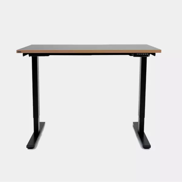 Epione SmartDesk Lite 2.0 Standing Desk