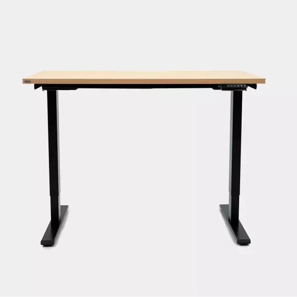 Epione SmartDesk Lite 2.0 Standing Desk