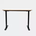Epione SmartDesk Lite 2.0 Standing Desk