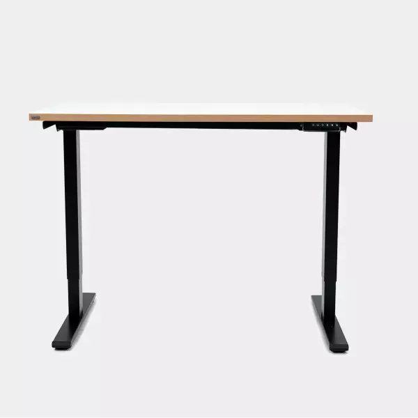 Epione SmartDesk Lite 2.0 Standing Desk