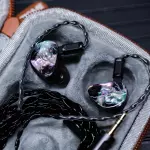 ZiiGaat x Z Reviews: Thunder IEM Earphones